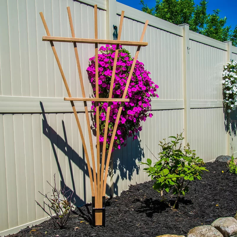 72'' H x 38'' W Wood Fan Trellis